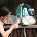 ⁦Sac à dos de transport pour chat avec design ventilé – محفظة ظهر للحيوانات الأليفة⁩ - الصورة ⁦5⁩